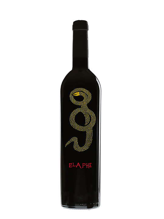 Elaphe